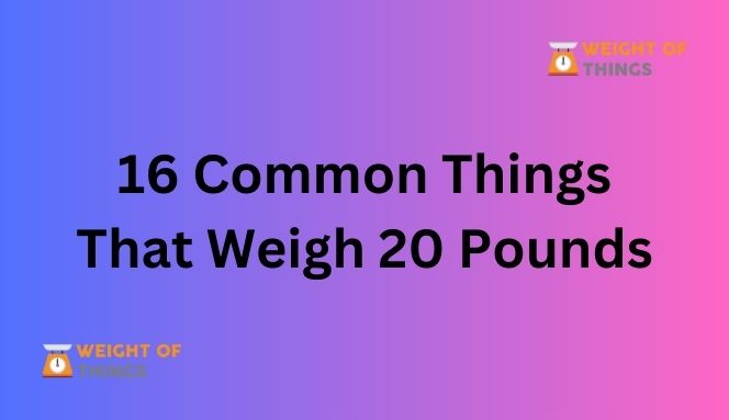 Things That Weigh 20 Pounds