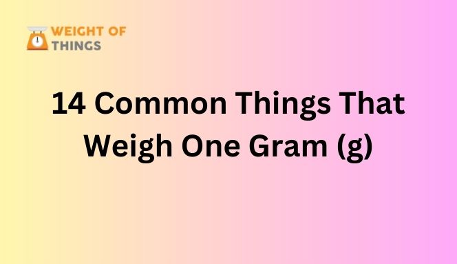 Things That Weigh One Gram