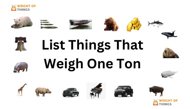 The Big List: Things That Weigh One Ton 2023 - Weight of Things