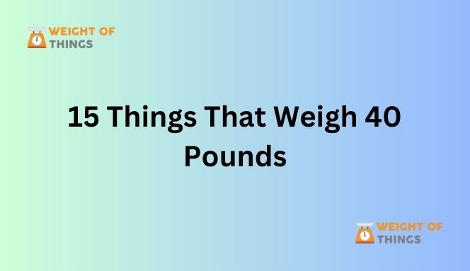 15 Common Things That Weigh 40 Pounds with Images - Weight of Things