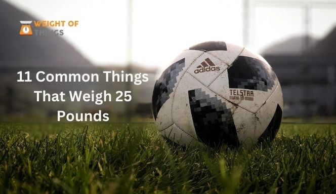items that weigh 25 pounds