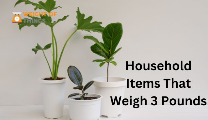 household items that weigh 3 pounds