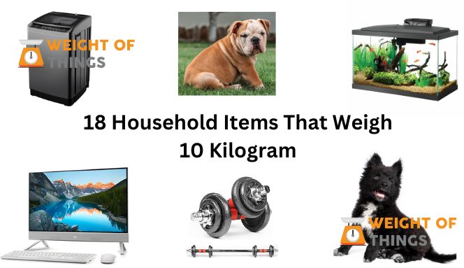 household items that weigh 10 kilogram