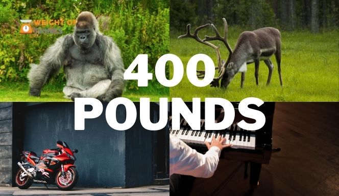 Things That Weigh 400 Pounds