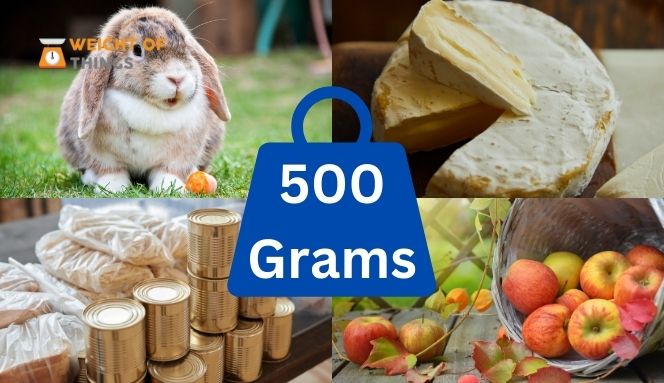 14-things-that-weigh-500-grams-with-images-weight-of-things