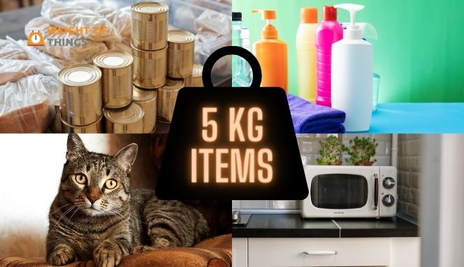 Household Items That Weigh 5 Kilograms