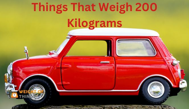 Things That Weigh 200 Kilograms