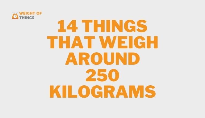 Things That Weigh Around 250 Kilograms