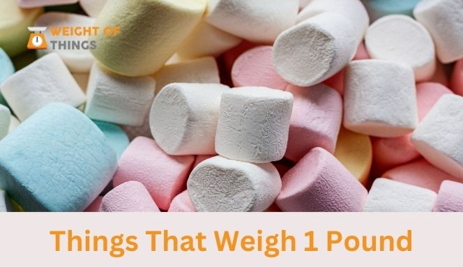 things that weigh 1 pound