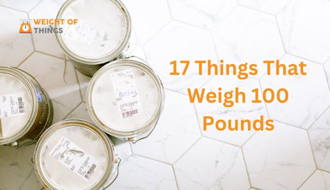 Things That Weigh 100 Pounds