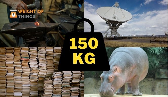 Things That Weigh 150 Kilograms