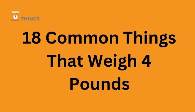 Items That Weigh 4 Pounds
