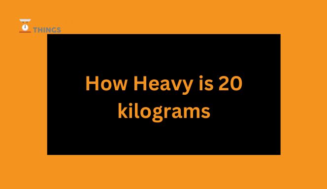 how-heavy-is-20-kilogram-kg-explain-in-2023-weight-of-things