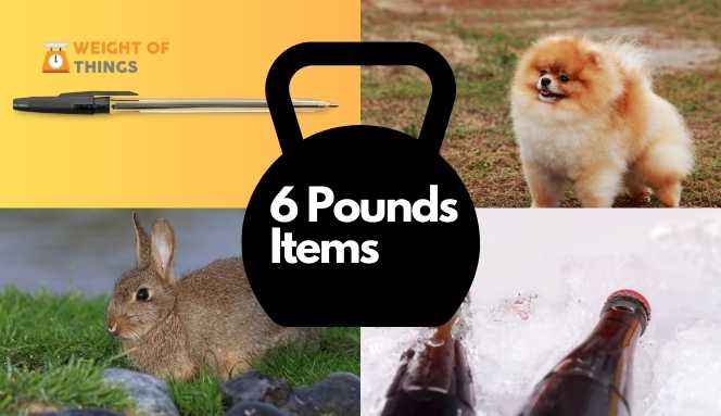 11 Things That Weigh 6 Pounds With Images