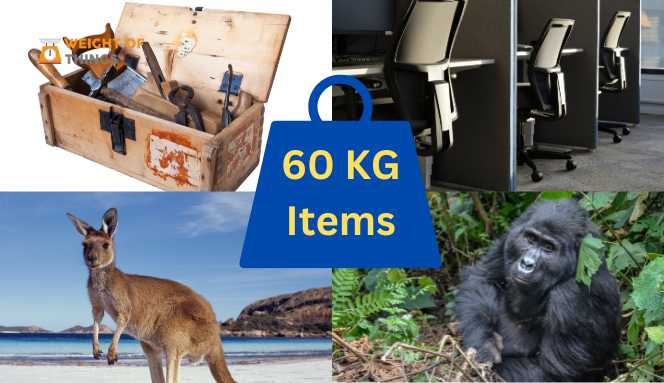 Things That Weigh 60 Kilograms