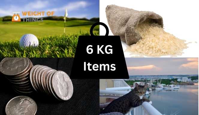 Things That Weigh 6 Kilograms