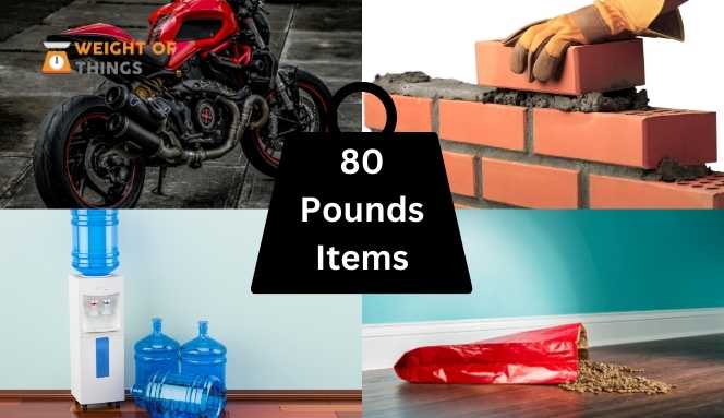 14 Things That Weigh 80 Pounds With Images Weight Of Things