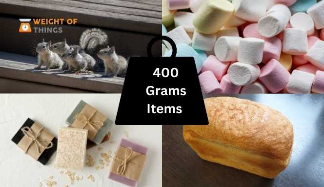 Things That Weigh 400 Grams