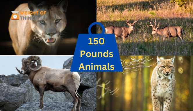 Animals That Weigh 150 Pounds