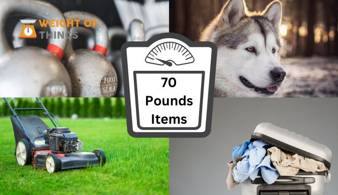Things That Weigh 70 Pounds