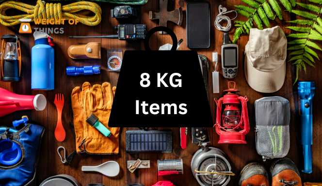 Household Items That Weigh 8 Kilograms