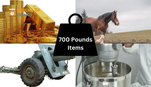 common-weight-of-things