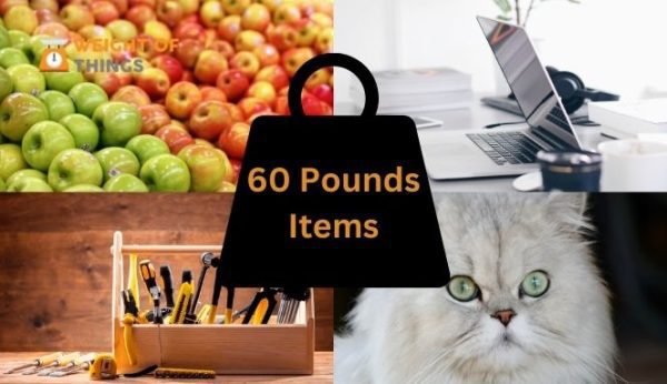 15-common-things-that-weigh-60-pounds-with-images-weight-of-things