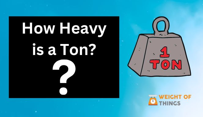 How Heavy is a Ton